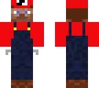 steve bros