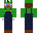 steve luigi