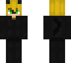 chat noir