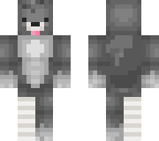 pup with broken paw