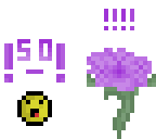 50 followers