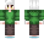 steve version of a skin