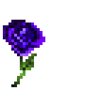 177 followers thank u all rose is edited