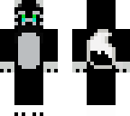 racoon