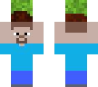 steve holding a grass block
