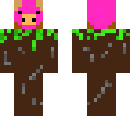 pigracer001
