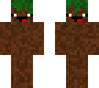derpy grass block