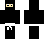 ender ninja