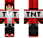 team tnt chans skin