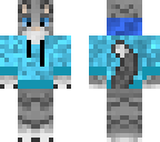 cat in blue hoody