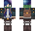 fixed skin