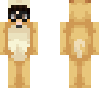 doggo