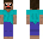 the new steve