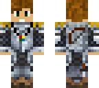 assassin knight detailed