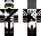 assassins racoon