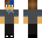 update for hp skin