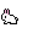 8 bunnies