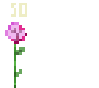 -50 petals-