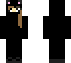 ninja kitty
