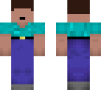 derp steve
