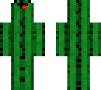 derpy cactus