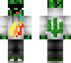 preston playz cactus