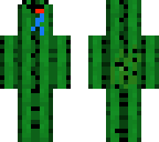 derp cactus