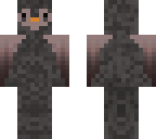 owl