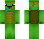 turtle