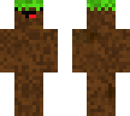 grass block derp