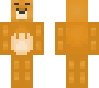 ryan the bear