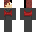 ash paladins