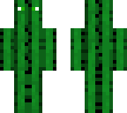 cactus derp