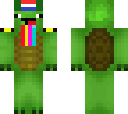 dutch turtle