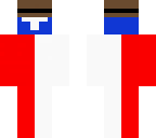texas skin with cowboy hat