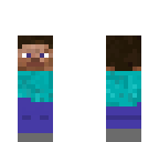 mini steve