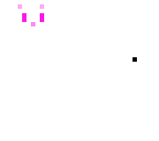 white cat