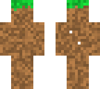 grass