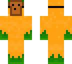 orange with toast mask
