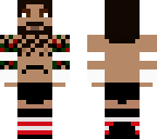 cm punk 2010