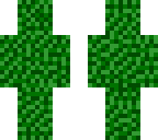 ivy plant