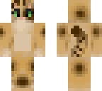 bengal cat