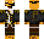 pirate cat