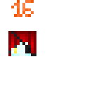 16 followers