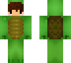 sebadaturtle