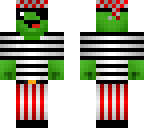turtle pirate