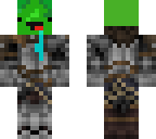 derp turtle knight