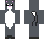 grey kitty