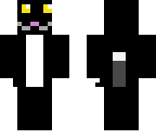 my cat
