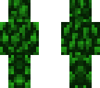 leaves